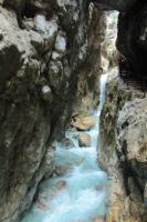 2014-07-24_OsterfelderKopf (153).JPG